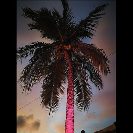 La Palmera Hostel 푸에르토 에스콘디도 외부 사진