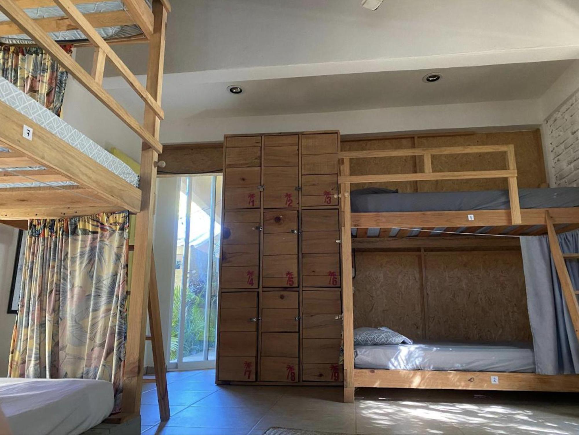 La Palmera Hostel 푸에르토 에스콘디도 외부 사진