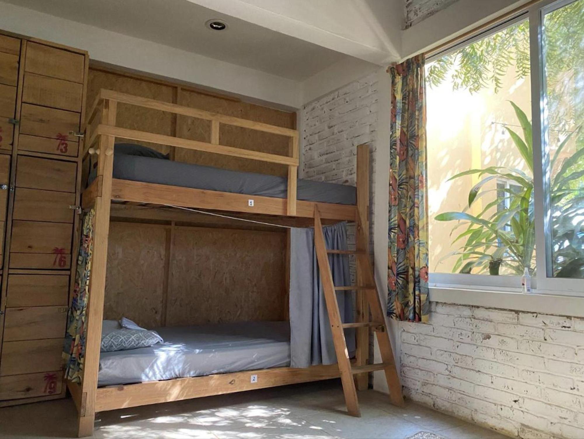 La Palmera Hostel 푸에르토 에스콘디도 외부 사진
